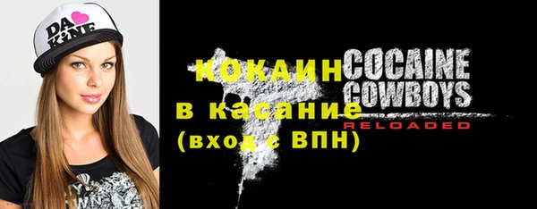 дживик Алзамай
